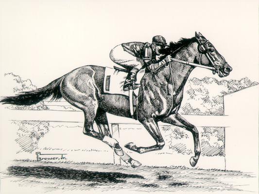 Horses; Sketches and Paintings by Brewer; Bold Ruler to War Admiral; Drawing of Citation and jockey in a race