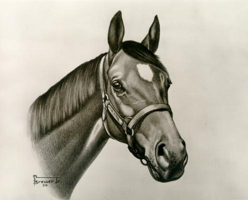 Horses; Sketches and Paintings by Brewer; Bold Ruler to War Admiral; Portrait of Old Forge