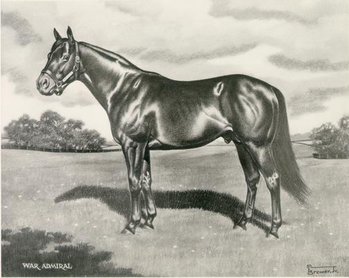 Horses; Sketches and Paintings by Brewer; Bold Ruler to War Admiral; Painting of War Admiral