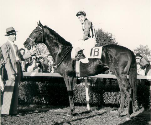 Horses; Thoroughbred Racing; Jockeys; An unidentified horse and jockey