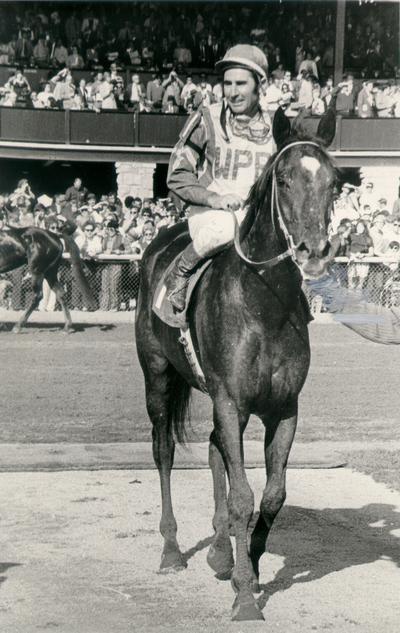 Horses; Thoroughbred Racing; Jockeys; An unidentified horse and jockey