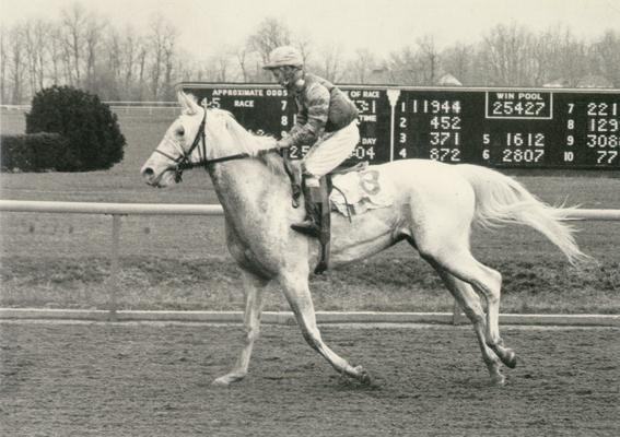 Horses; Thoroughbred Racing; Jockeys; An unidentified horse and jockey