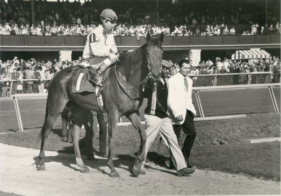 Horses; Thoroughbred Racing; Jockeys; Two men leading a horse and jockey