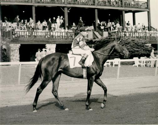 Horses; Thoroughbred Racing; Jockeys; An unidentified horse and jockey