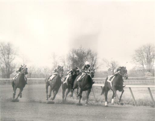 Horses; Thoroughbred Racing; Race Scenes; Five horses racing