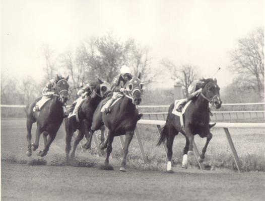 Horses; Thoroughbred Racing; Race Scenes; Four horses racing