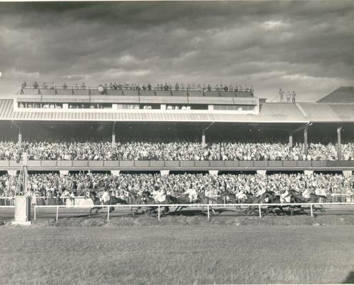 Horses; Thoroughbred Racing; Race Scenes; Horses racing past the Grandstand