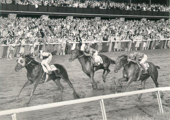 Horses; Thoroughbred Racing; Race Scenes; Three horses racing through the mud