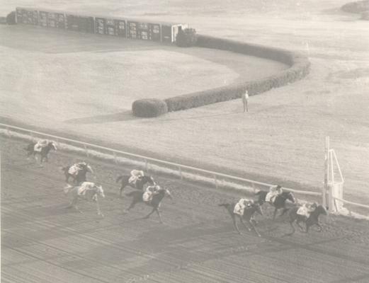 Horses; Thoroughbred Racing; Race Scenes; An aerial shot of a race