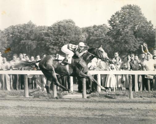 Horses; Thoroughbred Racing; Race Scenes; The crowd cheers on a horse and jockey