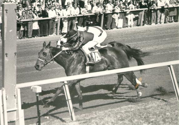 Horses; Thoroughbred Racing; Race Scenes; Two horses racing very close together