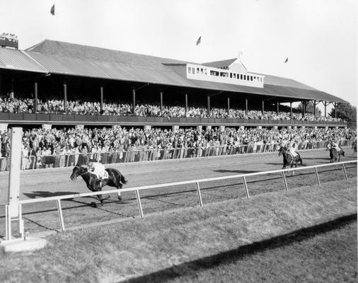 Horses; Thoroughbred Racing; Race Scenes; Horses racing past a large crowd of spectators