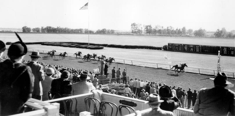 Horses; Thoroughbred Racing; Race Scenes; A picture taken of the view from the stands