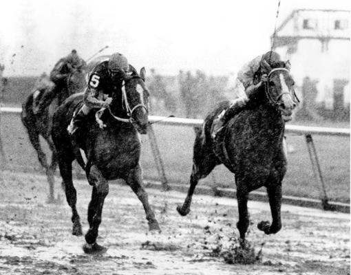 Horses; Thoroughbred Racing; Race Scenes; Horses racing in the mud