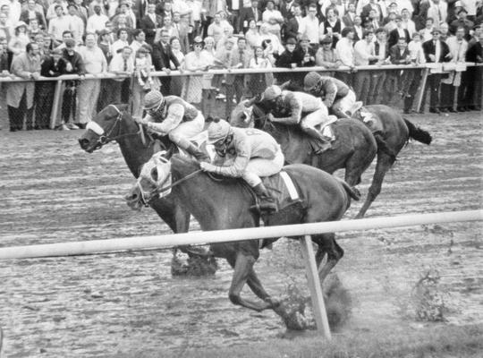 Horses; Thoroughbred Racing; Race Scenes; Four horses racing through standing water