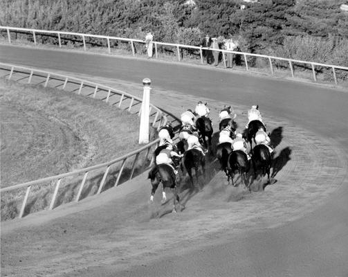 Horses; Thoroughbred Racing; Race Scenes; Coming around the bend