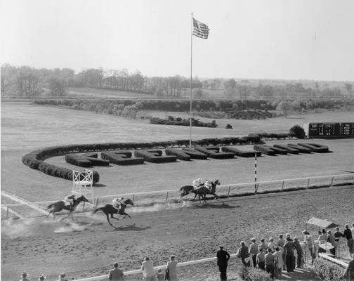 Horses; Thoroughbred Racing; Race Scenes; A race at Keeneland