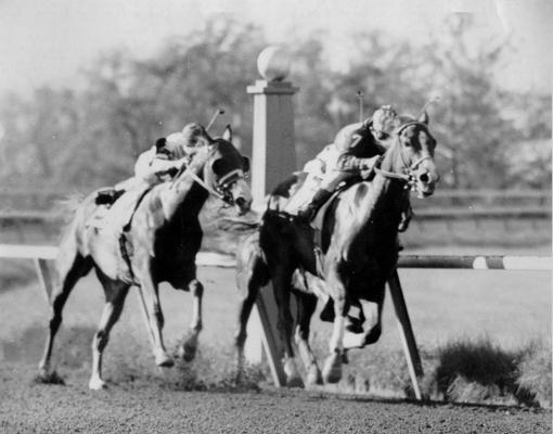 Horses; Thoroughbred Racing; Race Scenes; A close-up picture of a race
