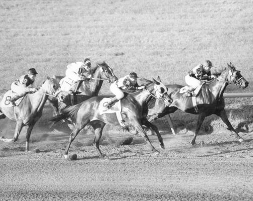 Horses; Thoroughbred Racing; Race Scenes; Four horses on a dusty track