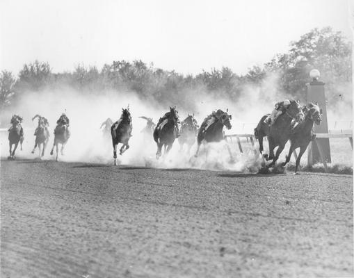 Horses; Thoroughbred Racing; Race Scenes; Dust flies up from the track