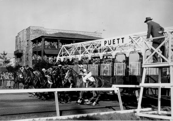 Horses; Thoroughbred Racing; Race Scenes; Horses taking off out of the Puett Stalls