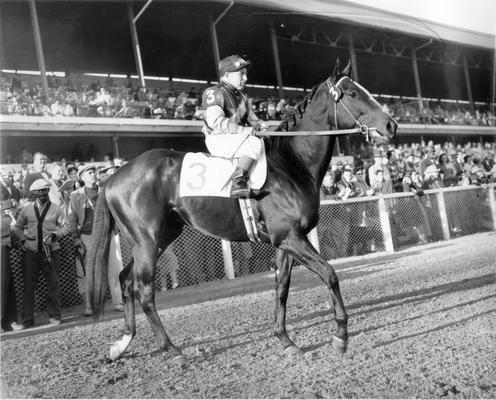 Horses; Thoroughbred Racing; Race Scenes; An unidentified horse and jockey stand before a crowd