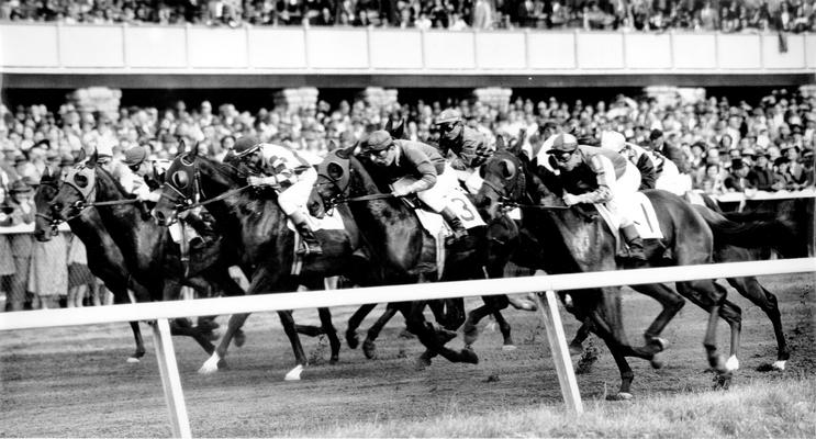 Horses; Thoroughbred Racing; Race Scenes; Thoroughbred horses racing around the track; Grand stands in the back ground