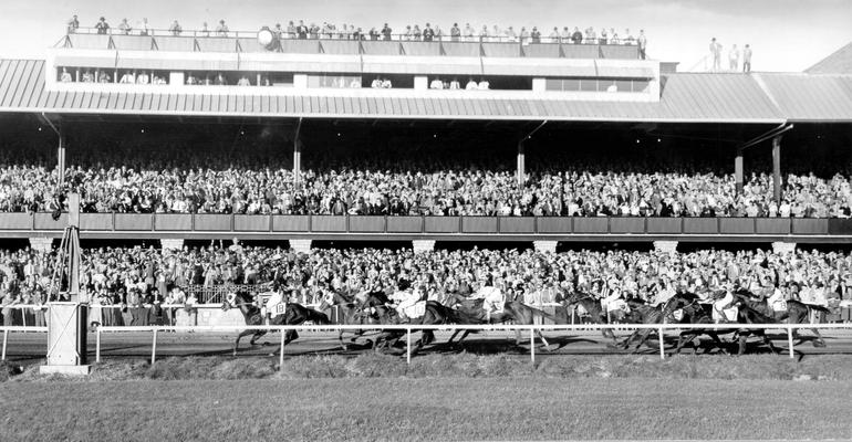 Horses; Thoroughbred Racing; Race Scenes; Thoroughbred horses racing; Grand stands in the back ground