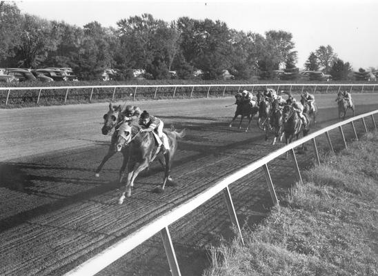 Horses; Thoroughbred Racing; Race Scenes; Thoroughbred racing around the track