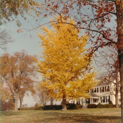 Houses; Unidentified; Duplicate of #2139