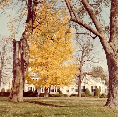Houses; Unidentified; A color photo of a house with huge trees in the yard