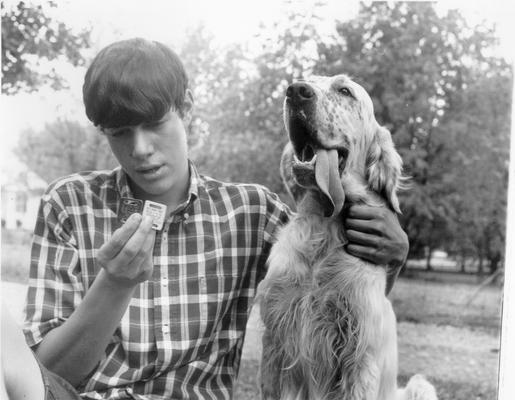 Animals; Dogs; Young man checks dog tags