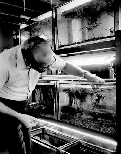 Men; Individual; Unidentified; A man feeds a tropical fish in a tank