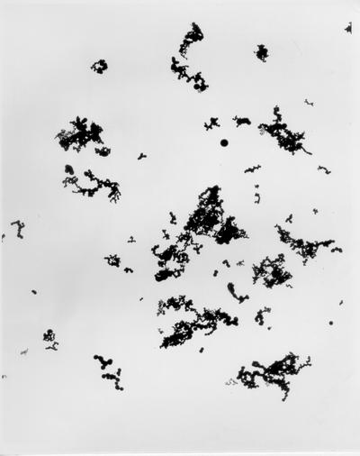 Miscellaneous Objects; Black spots on a white photograph