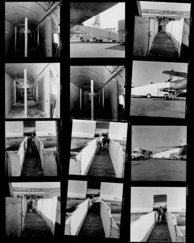 Murty Bros. Agency Inc.; Twelve shots of a horse boarding a plane