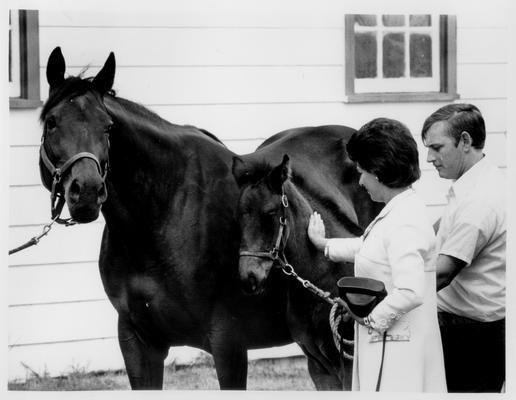 Princess Margaret; 1974; Princess Margaret looks at two horses