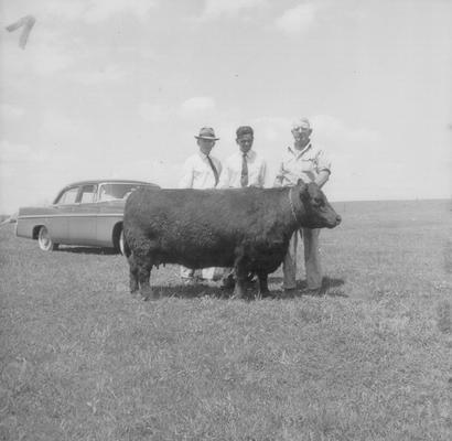 Rural Scenes; Three men, a cow and a car