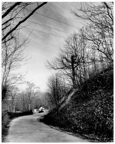 Rural Scenes; A dirt road