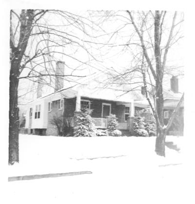 Family and Friends; House in winter