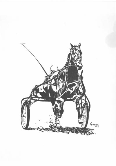 Horse; Related items and photos of a bed; Drawing of a chariot