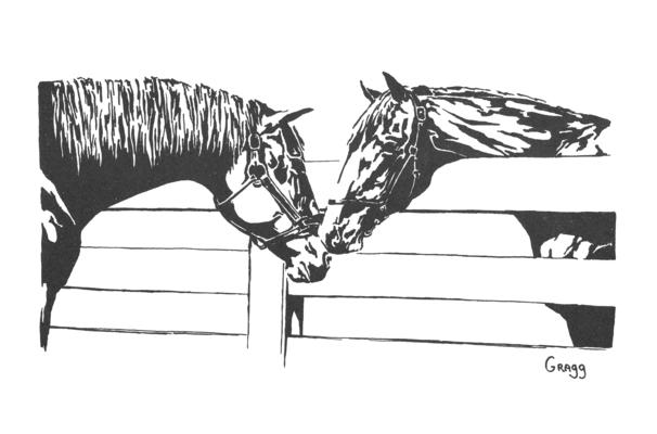 Horse; Related items and photos of a bed; Drawing of two horses head to head