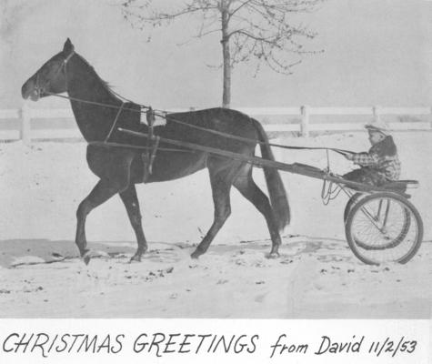 Personal Papers; Christmas Greetings card (horse-themed)