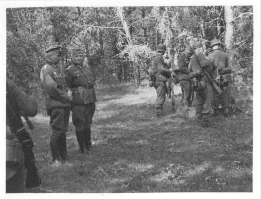 Postcard; Soldiers in the forest