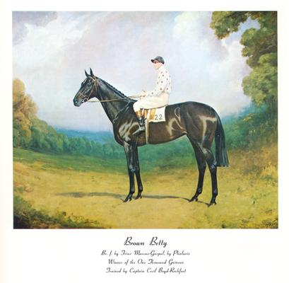 Thoroughbred Record; Brown Betty horse painting