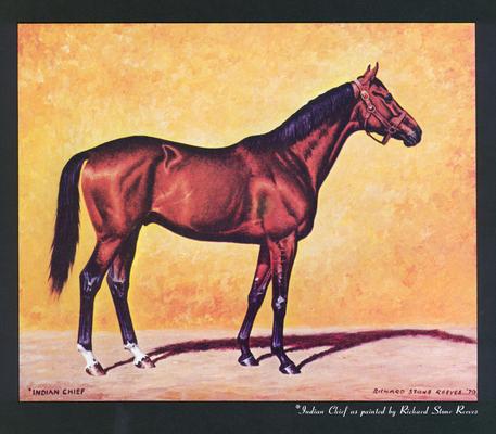 Thoroughbred Record; Indian Chief horse painting by (Richard Stone Reeves)