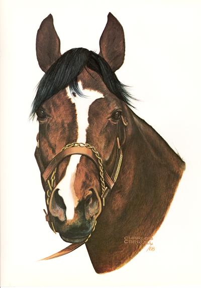 Thoroughbred Record; Charles Carroll 1968 color drawing of horse