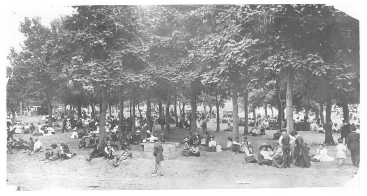 Woodland Park; A crowd of people sitting under the trees in Woodland Park