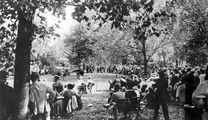 Horse Auctions and Sales; Two horses put on display