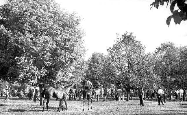 Horse Auctions and Sales; Horsemen and crowd