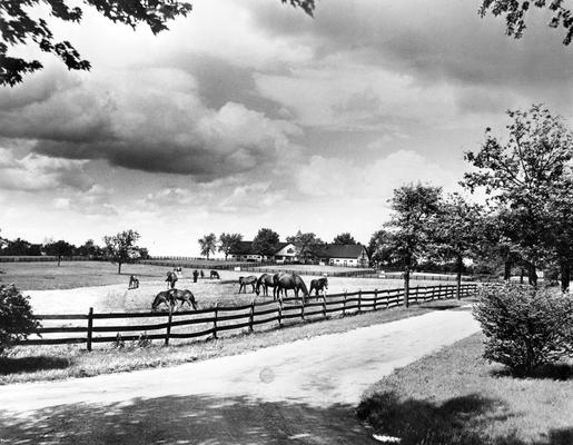 Horse Farms and Owners; Calumet Farm; Aerial Views; A close up view of Calumet Farm